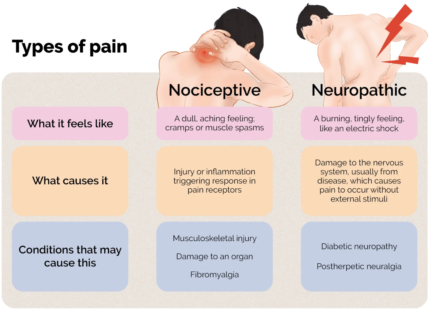 Types of pain. Nociceptive pain feels dull and aching, like cramps or muscle spasms; it is caused by injury or inflammation triggering a response in pain receptors, and may come from musculoskeletal injury, damage to an organ, or fibromyalgia. Neuropathic pain feels burning and tingly, like an electric shock; it is caused by damage to the nervous system, usually from disease, which causes pain without external stimuli, and may come from diabetic neuropathy or postherpetic neuralgia.